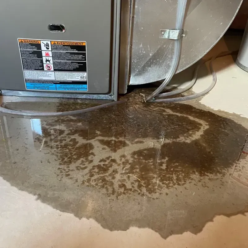 Appliance Leak Cleanup in Northport, AL